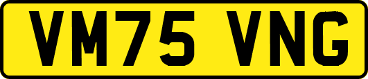 VM75VNG