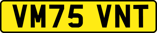 VM75VNT