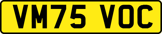 VM75VOC