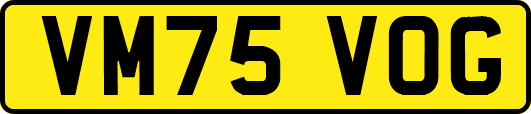 VM75VOG