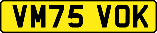 VM75VOK