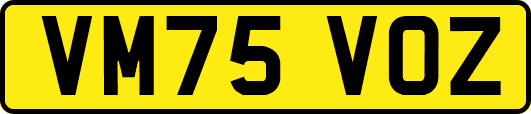 VM75VOZ