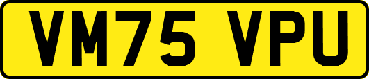 VM75VPU