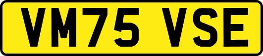 VM75VSE