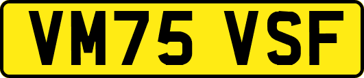 VM75VSF