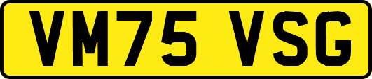 VM75VSG