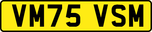 VM75VSM
