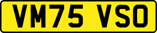 VM75VSO