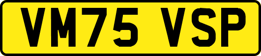VM75VSP