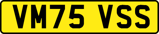VM75VSS