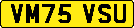 VM75VSU