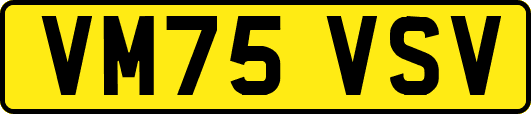 VM75VSV