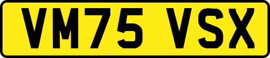 VM75VSX