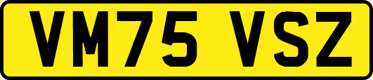 VM75VSZ