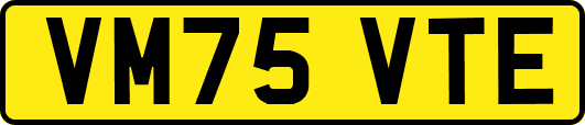 VM75VTE