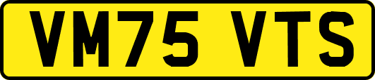 VM75VTS