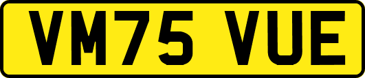 VM75VUE