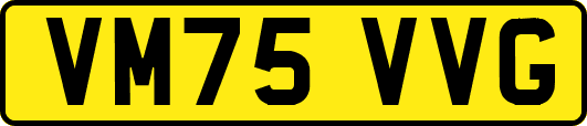 VM75VVG