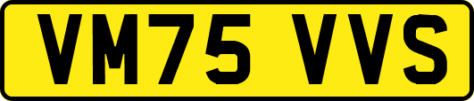VM75VVS