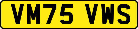 VM75VWS