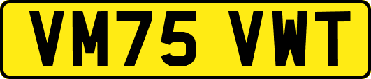 VM75VWT