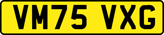 VM75VXG