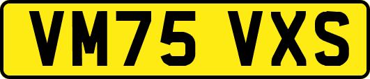 VM75VXS