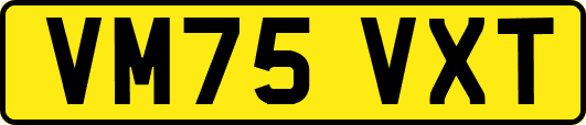 VM75VXT