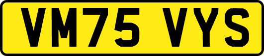 VM75VYS