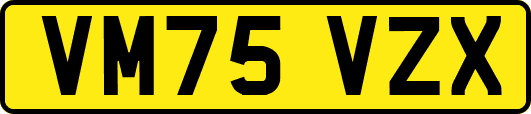 VM75VZX