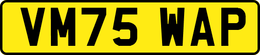 VM75WAP