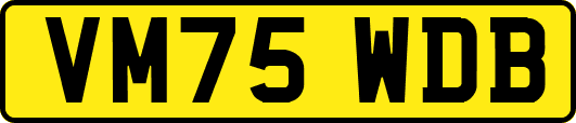 VM75WDB