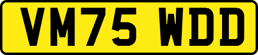 VM75WDD