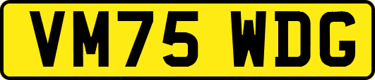 VM75WDG