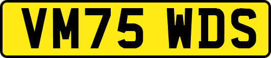 VM75WDS