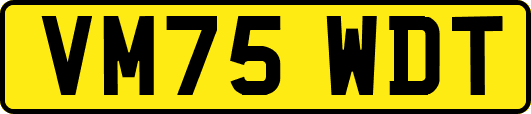 VM75WDT