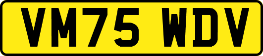 VM75WDV