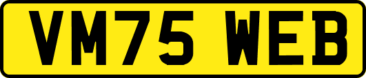 VM75WEB