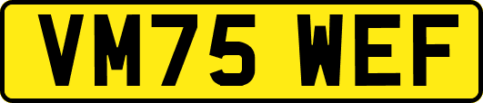 VM75WEF