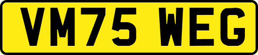 VM75WEG