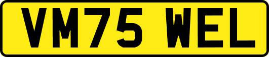VM75WEL