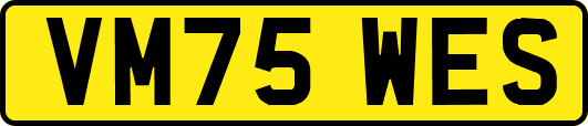 VM75WES