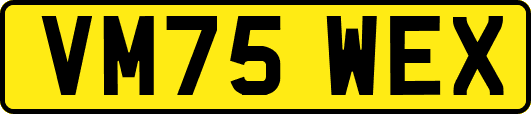 VM75WEX