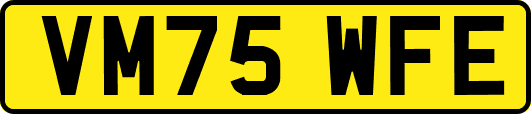 VM75WFE