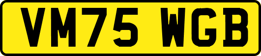 VM75WGB