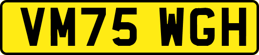 VM75WGH