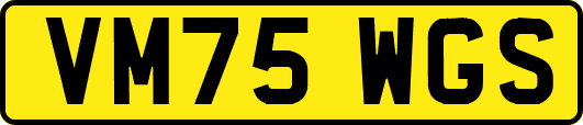 VM75WGS