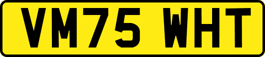 VM75WHT