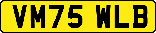 VM75WLB
