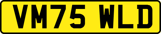 VM75WLD